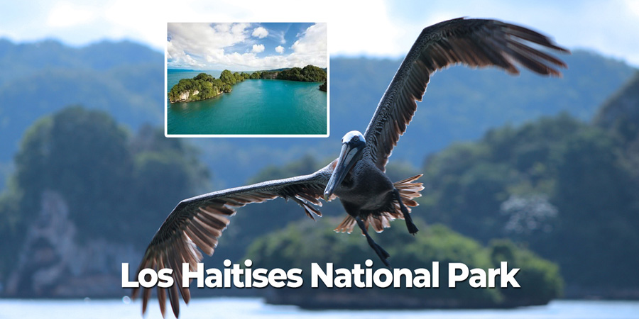 Samana Dominican Republic Los Haitises National Park Tour.